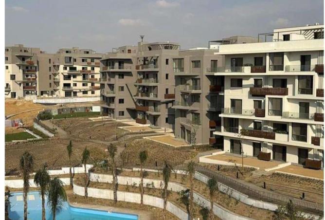 8282213 - صورة العقار 2