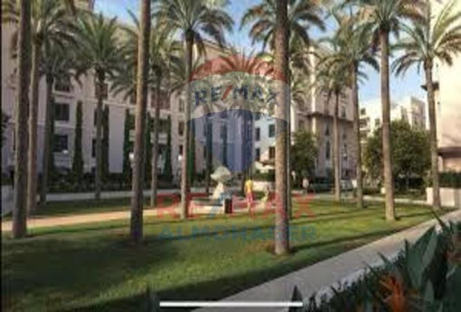 8239817 - Property Image 3