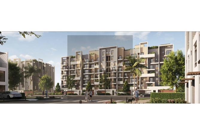 8381836 - Property Image 3