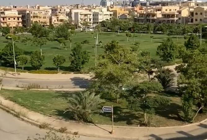 8231305 - Property Image 3