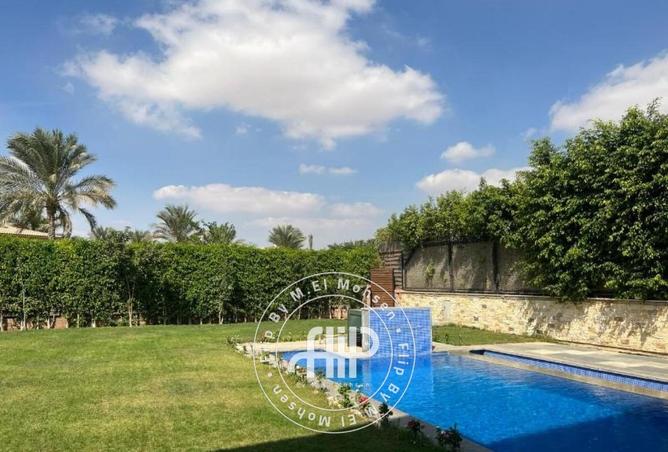 8115458 - Property Image 3