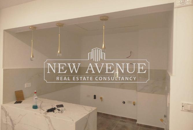 8381535 - Property Image 3