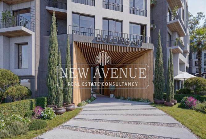 7992016 - Property Image 3