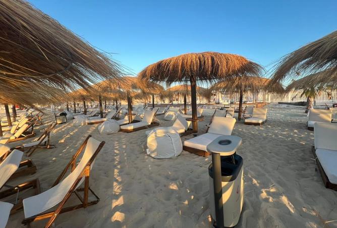 8204759 - Property Image 3