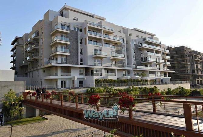 8313778 - Property Image 3