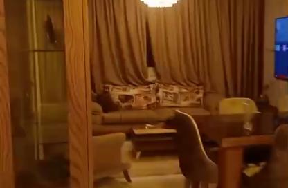 شقة - 3 غرف نوم - 3 حمامات للبيع في شارع ايران - الدقي - الجيزة