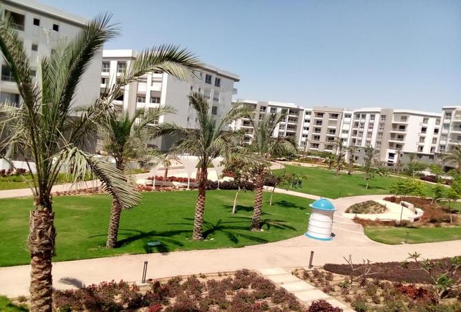 7967580 - صورة العقار 2