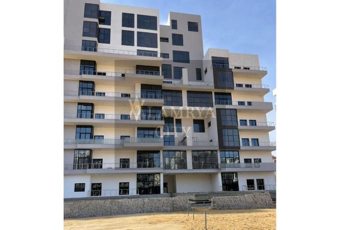 8364398 - Property Image 2