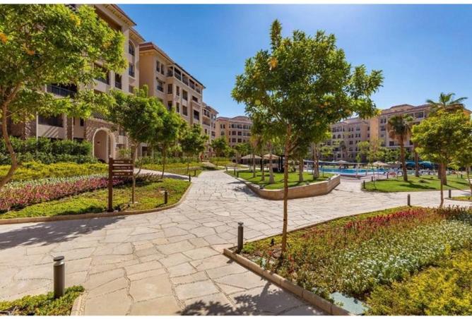 8211585 - Property Image 3