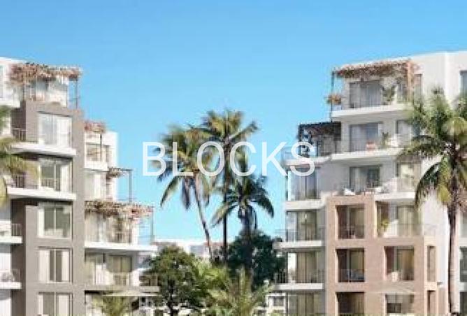 8165598 - صورة العقار 3