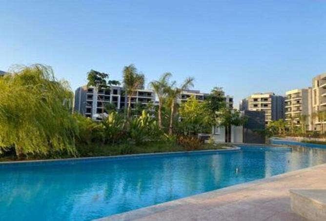 7990880 - Property Image 3