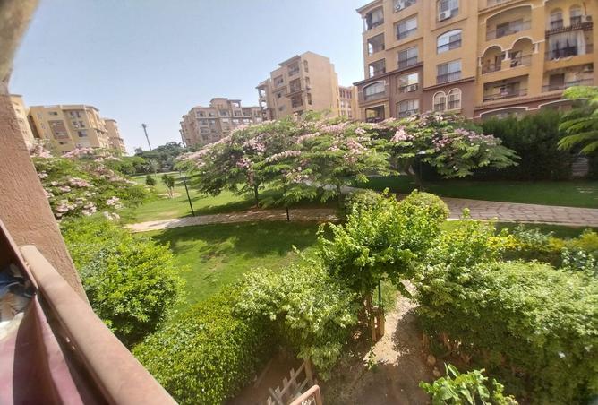 7966661 - الصورة الرئيسية للعقار