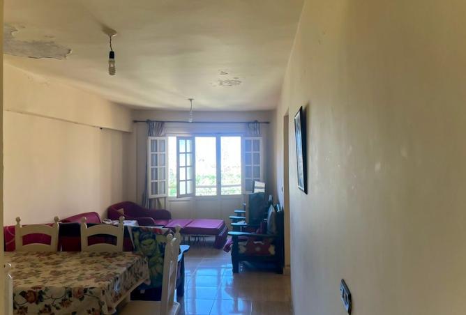 8277378 - Property Image 2