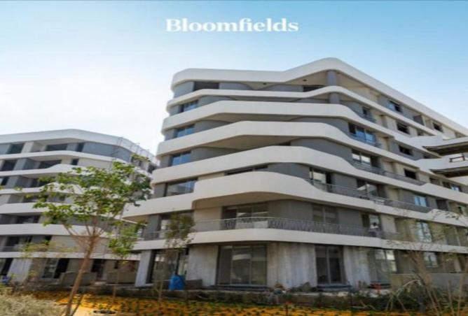 8003284 - Property Image 3