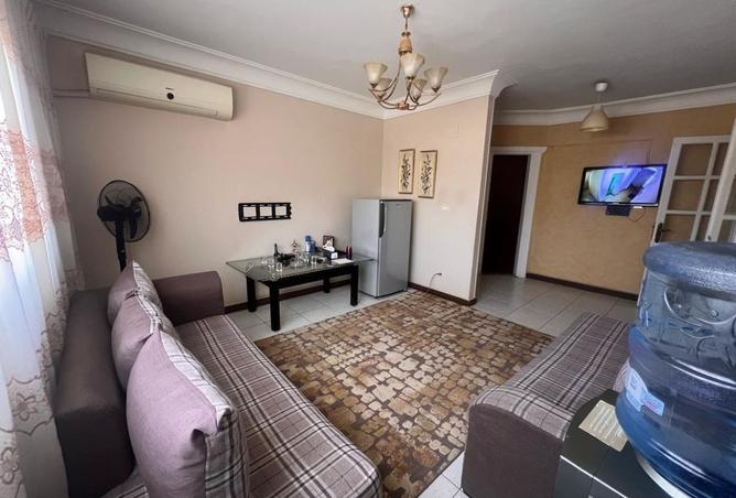 8481434 - Property Image 3