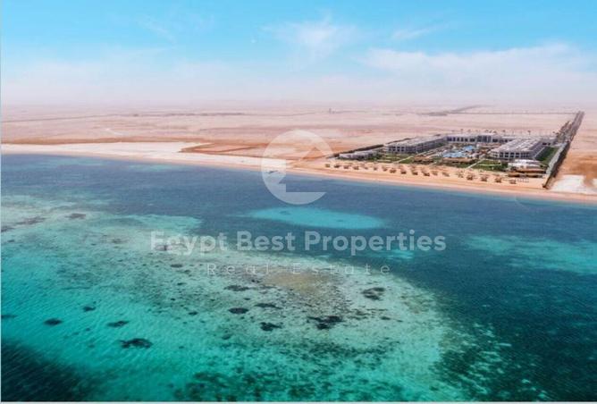 7983725 - صورة العقار 3