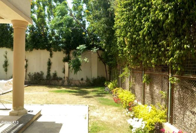 7909871 - صورة العقار 3