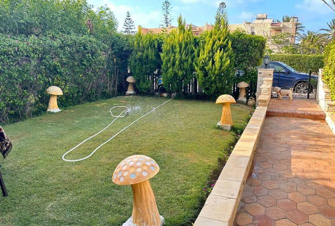 8464582 - الصورة الرئيسية للعقار