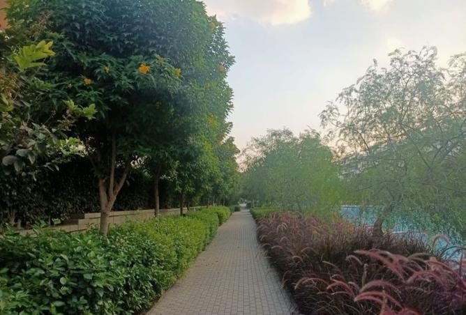 7896291 - صورة العقار 2
