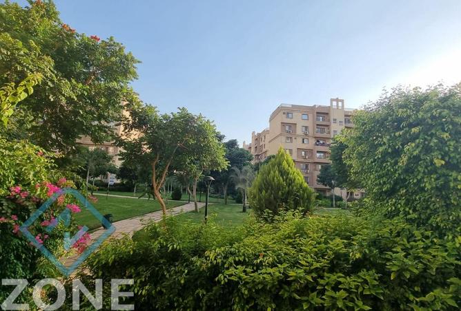 8149336 - الصورة الرئيسية للعقار