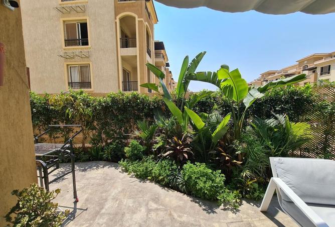 8043381 - Property Image 3