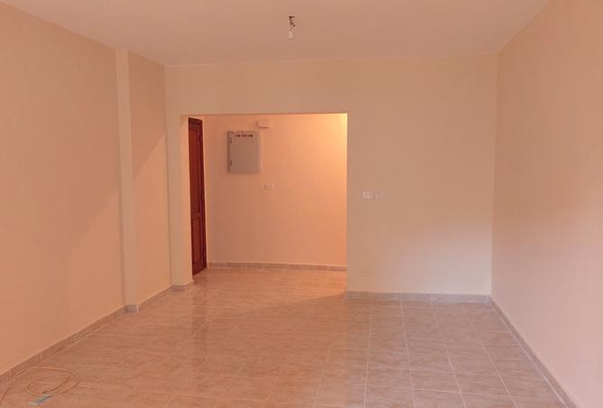 8158272 - Property Image 3