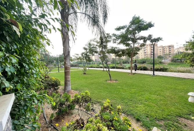 8555826 - الصورة الرئيسية للعقار