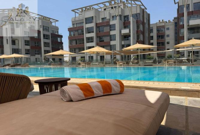 8291915 - Property Image 3