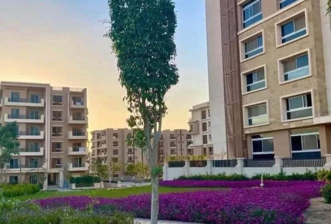 7950517 - صورة العقار 2