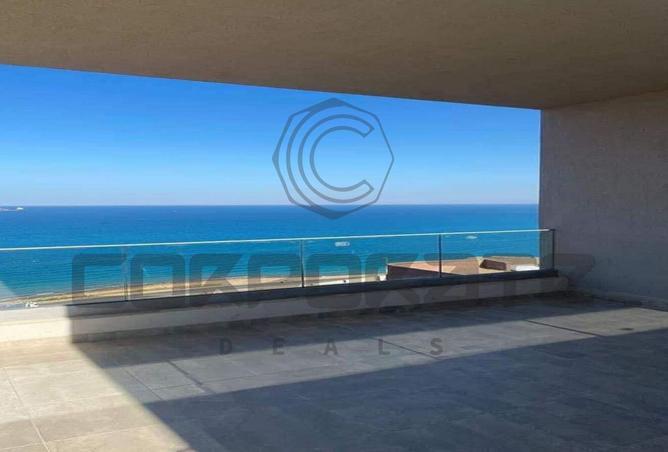 8163594 - Property Image 2