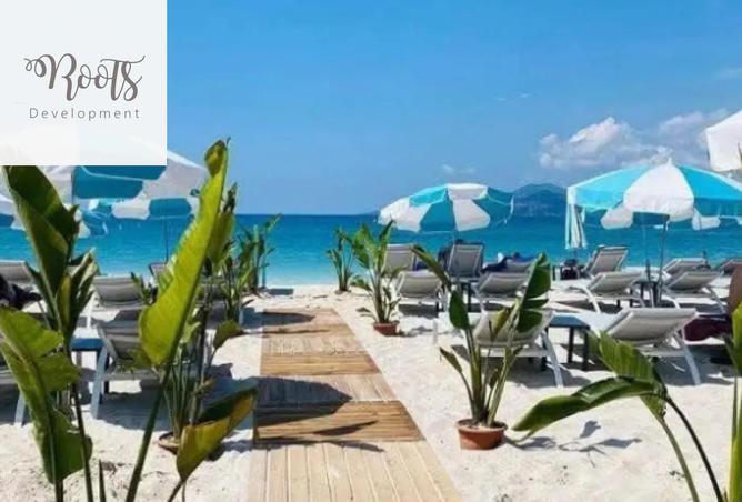 8261911 - Property Image 2