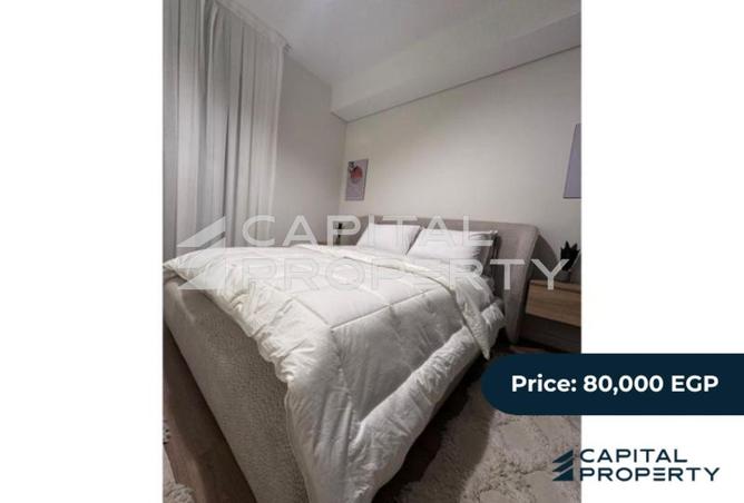 8156090 - Property Image 2