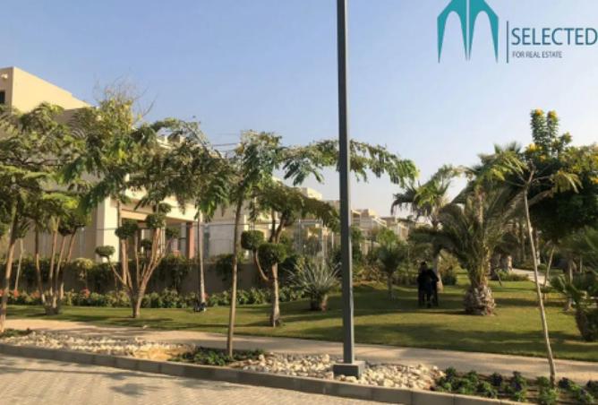 8273239 - صورة العقار 3