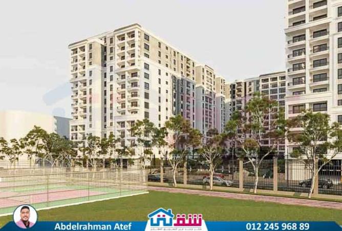 8212200 - Property Image 3