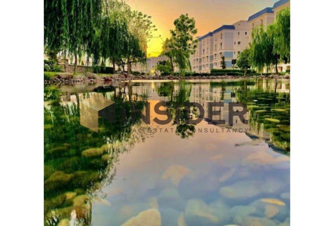 8352875 - Property Image 3