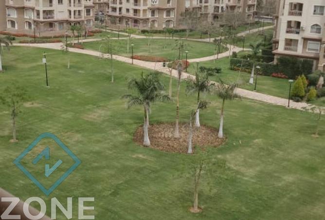 8065309 - صورة العقار 2