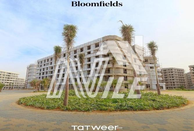 8358796 - Property Image 3