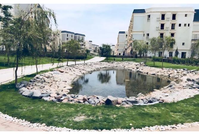 8291917 - صورة العقار 3