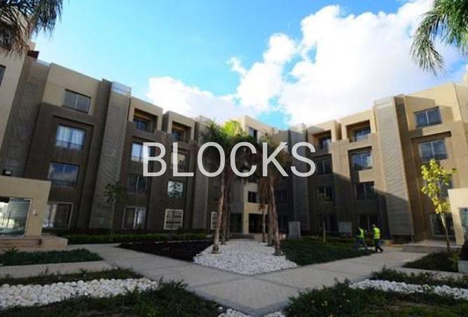 7920526 - Property Image 3