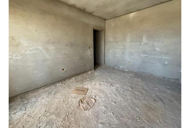 7996178 - Property Image 3