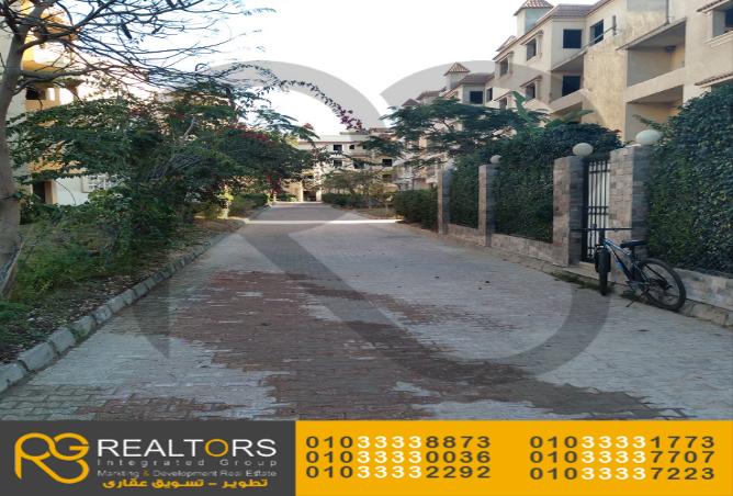 7989610 - Property Image 2