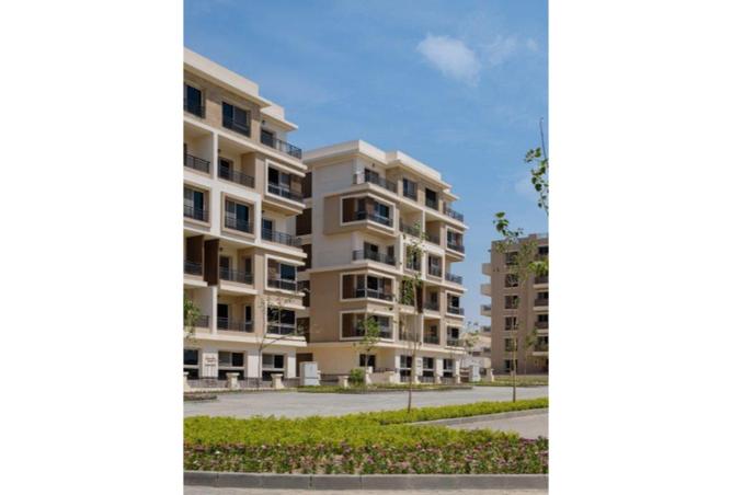 8167899 - Property Image 3