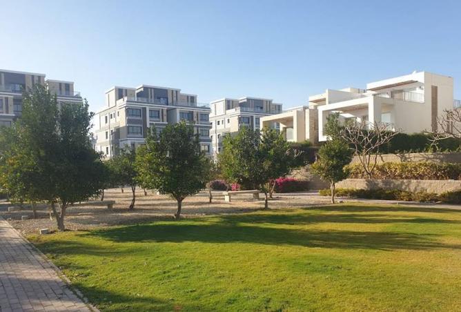 8233547 - صورة العقار 3