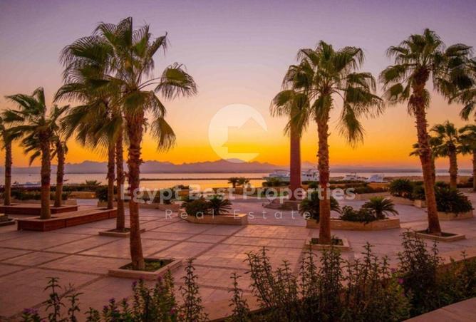 8432583 - Property Image 3