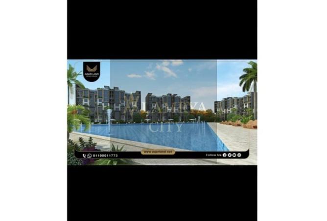 8095570 - Property Image 3