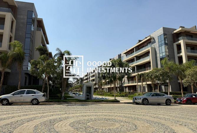 8388627 - Property Image 2