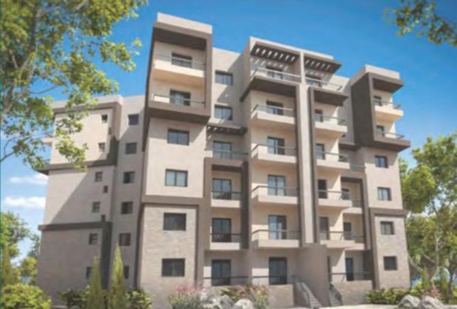 7936167 - Property Image 3