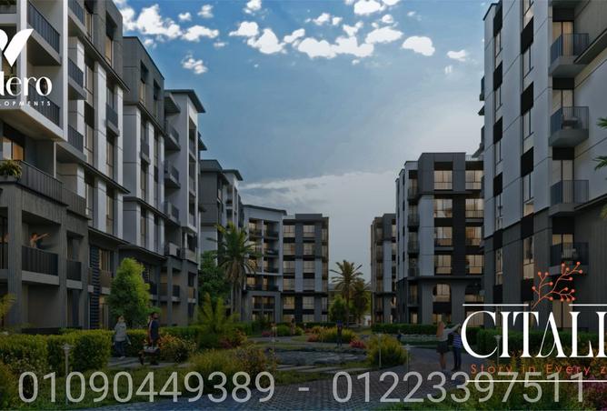 7926794 - Property Image 3
