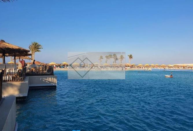 7936937 - صورة العقار 3