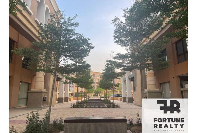 8374710 - Property Image 2